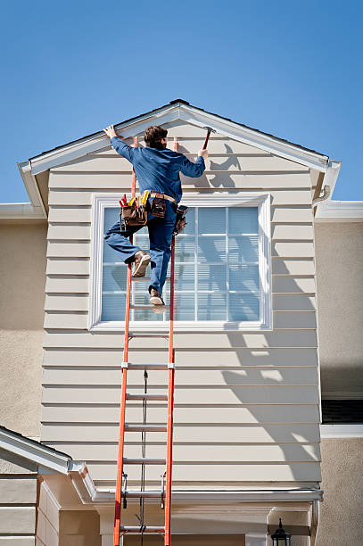 Best Historical Building Siding Restoration  in Selbyville, DE